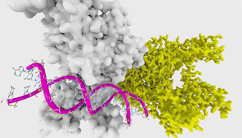 Grafik mit DNA.